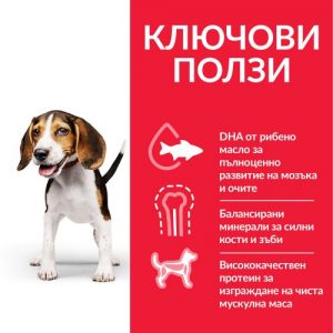 hill`s-puppy