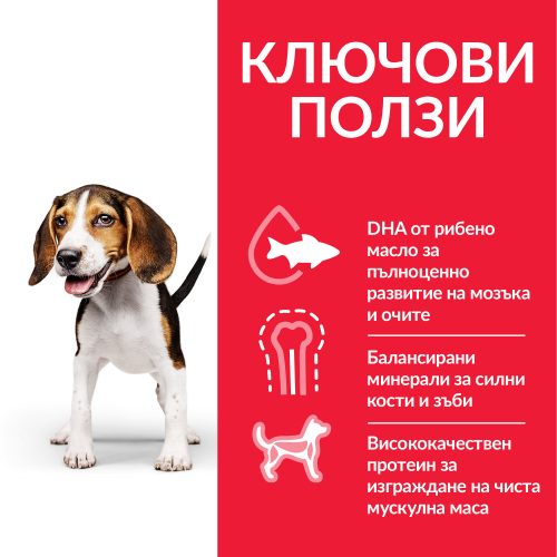 hill`s-puppy