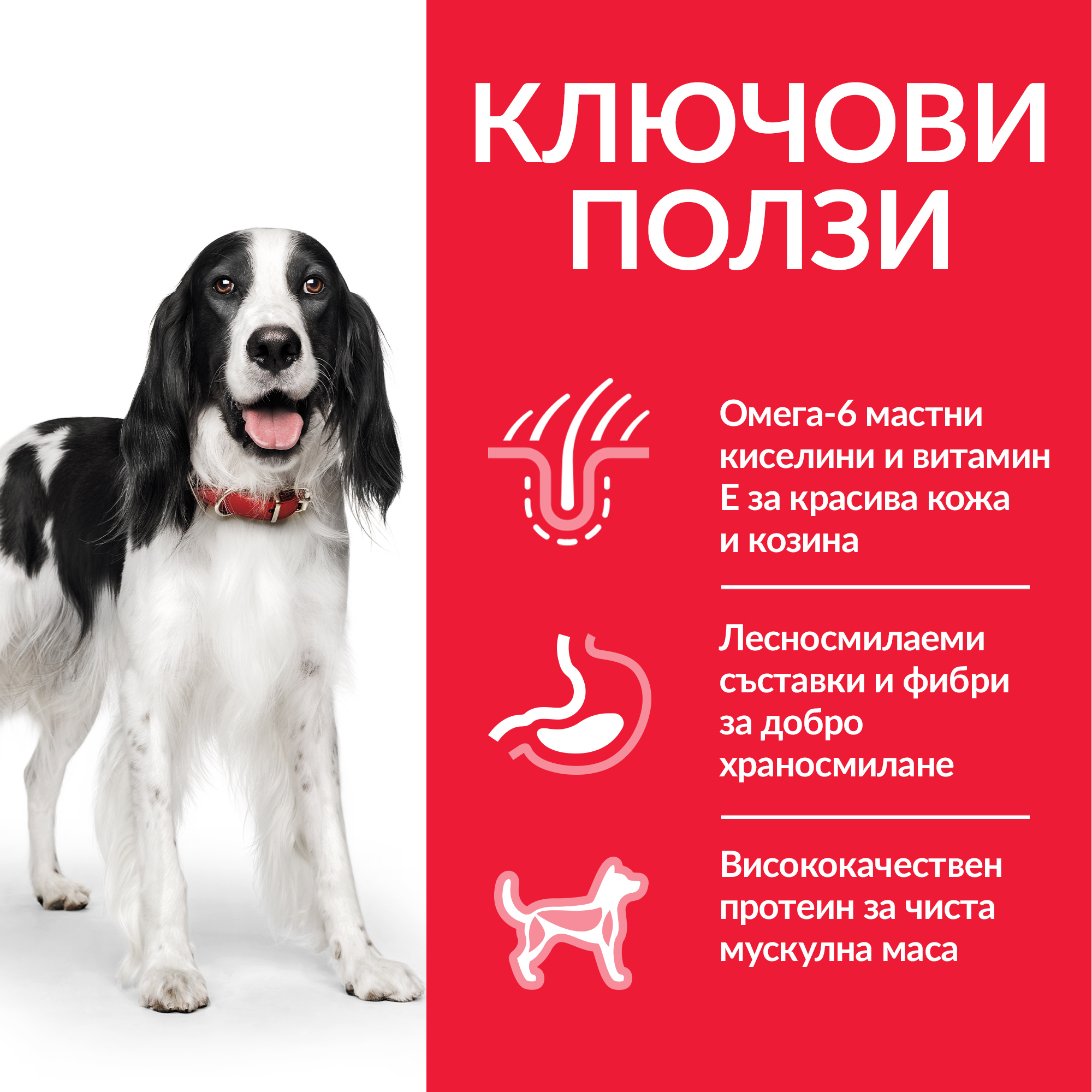 Консервирана храна за кучета Hill’s SP Adult с пуешко - Image 2