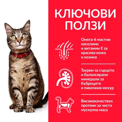 Колекция от паучове - Hill’s SP Adult FAVOURITE SELECTION - Image 2