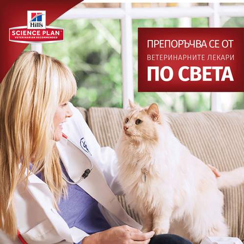 Колекция от паучове - Hill’s SP Adult FAVOURITE SELECTION - Image 3