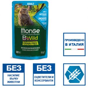 MongeNSBWildGrFrAdultCatАншоаЗелChunkies
