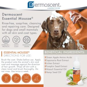 Dermoscent Essential Mousse пяна за почистване на козина при куче