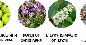 Essential Mousse Dermoscent натурални съставки за грижа за кожата на кучета