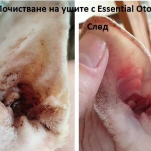 Essential Oto Dermoscent почистване на уши при куче преди и след употреба