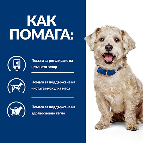 Ползи от лечебната храна Hill’s w/d за кучета с диабет и наднормено тегло