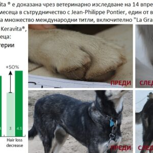 Keravita Dermoscent резултати за козината на куче преди и след употреба