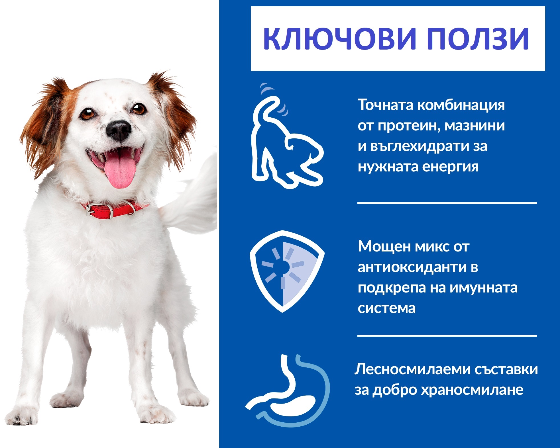 608331-г34;608329-г