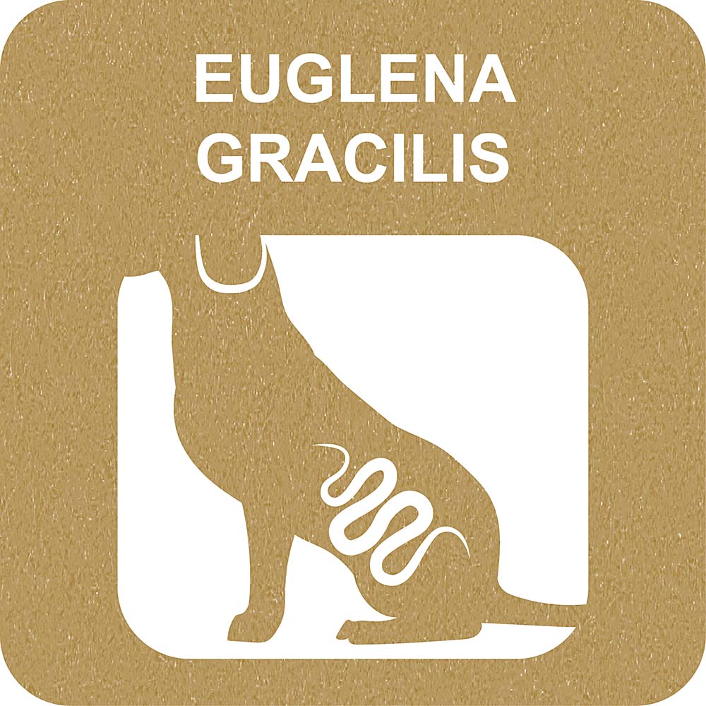 ToothBrush Bag S Alga Euglena-стик четка за зъби - Image 5