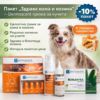 Пакет Dermoscent за кожа и козина на кучета с Essential 6, Mousse, Oto и Keravita